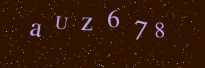 Validation image