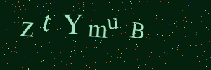 Validation image