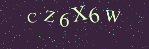 Validation image