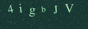 Validation image