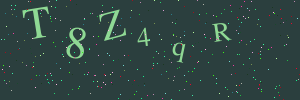 Validation image