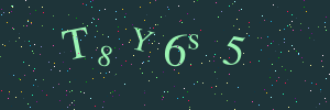Validation image